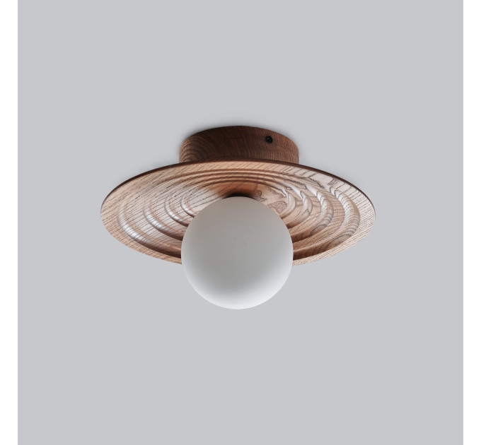 Ceiling lighting with schoolhouse style Hallway lamp |GaffDesign