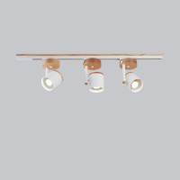 Ceiling light Track lighting Industrial lighting