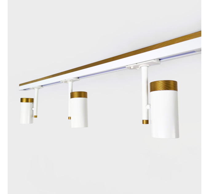 Track lighting Industrial track light