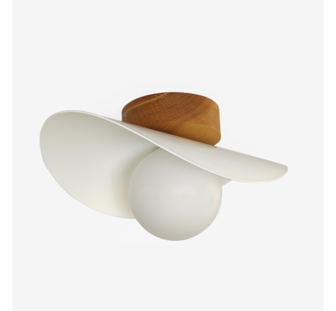 Ceiling lighting with schoolhouse style Hallway lamp |GaffDesign