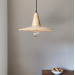 Ceiling lighting with schoolhouse style Hallway lamp |GaffDesign