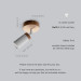 Ceiling light Pendant lighting Spot Vanity light Minimalist
