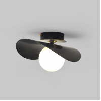Brass ceiling light Black lighting Bathroom lamp