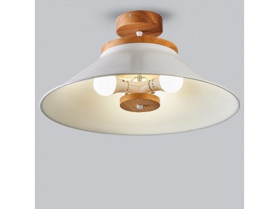 Big ceiling light with schoolhouse style Hallway lamp