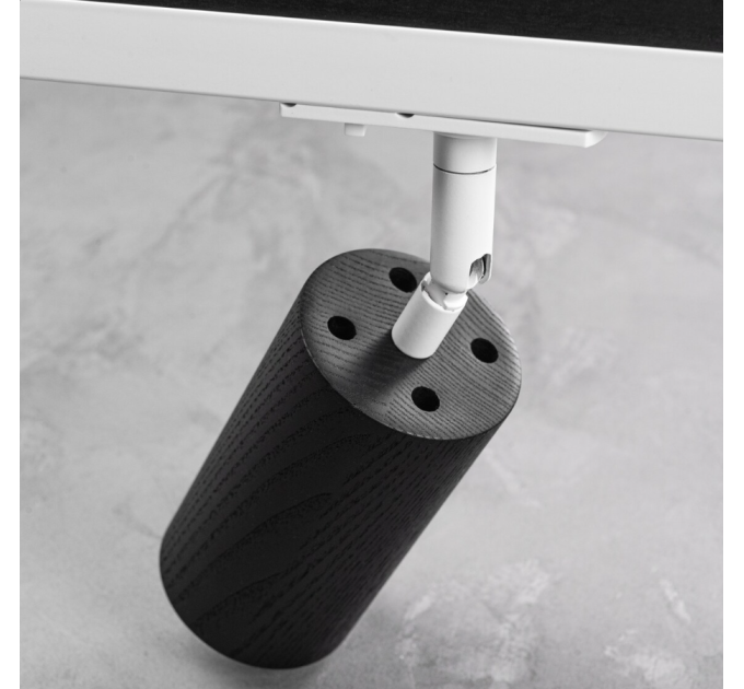 Track lighting Black White ceiling Industrial track light