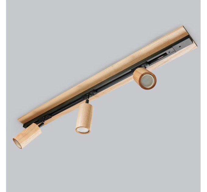 Track lighting Wide base Industrial track light